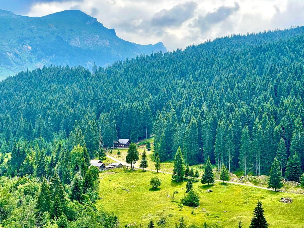 Willa Triangle Woodhouse Plav Zewnętrze zdjęcie