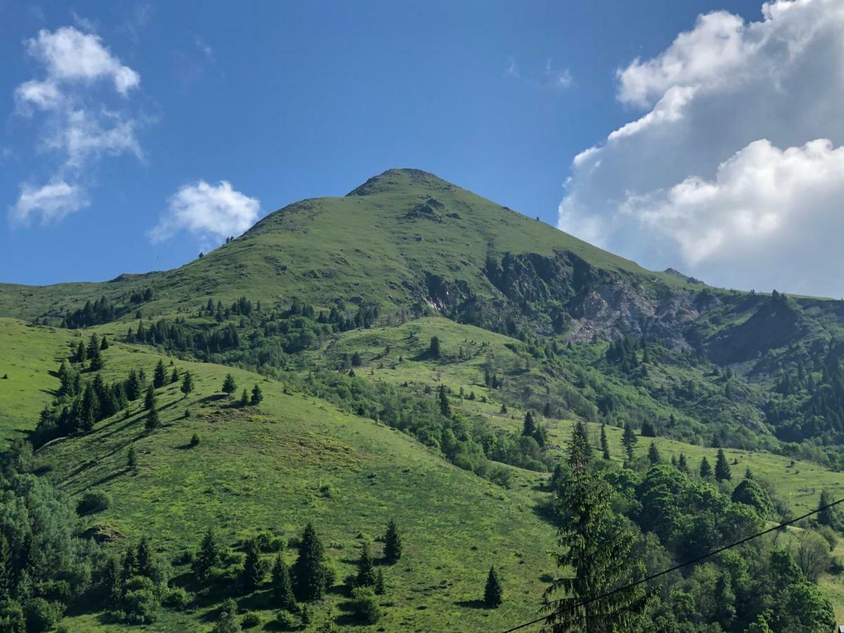 Willa Triangle Woodhouse Plav Zewnętrze zdjęcie