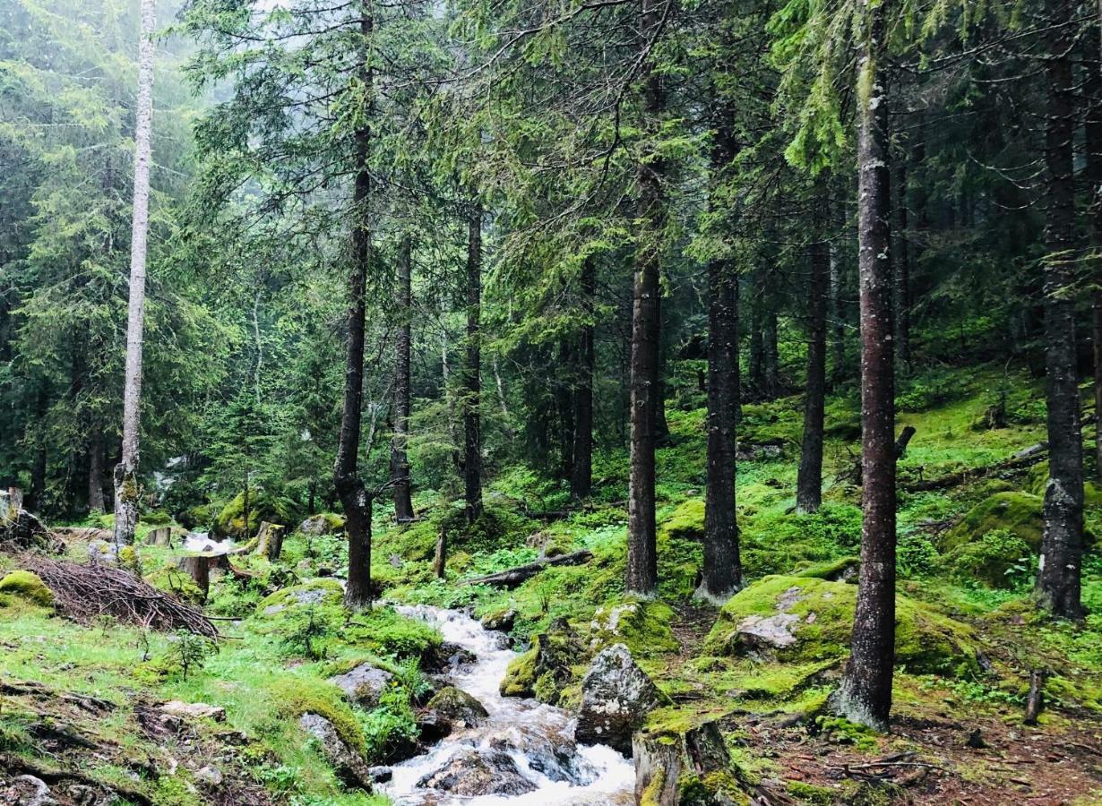 Willa Triangle Woodhouse Plav Zewnętrze zdjęcie
